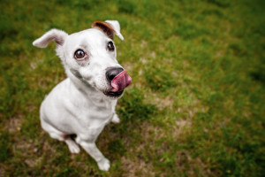 意难平!XX战队遗憾止步,榜单排名引发热议!